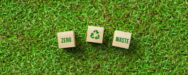 istock cubes with message ZERO WASTE on green grass - 3d illustration 1297392923