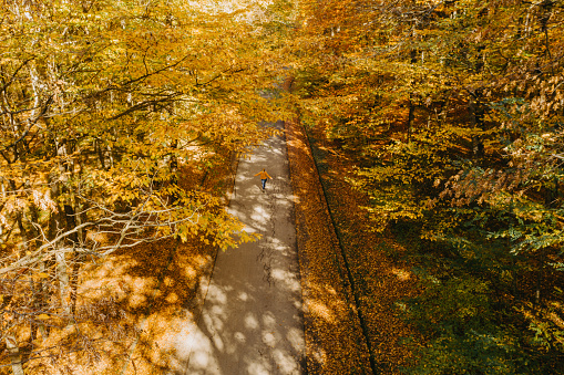 Top view of a person walking on road in autumn