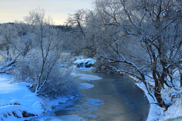 istock Winter of dawn 1297394336