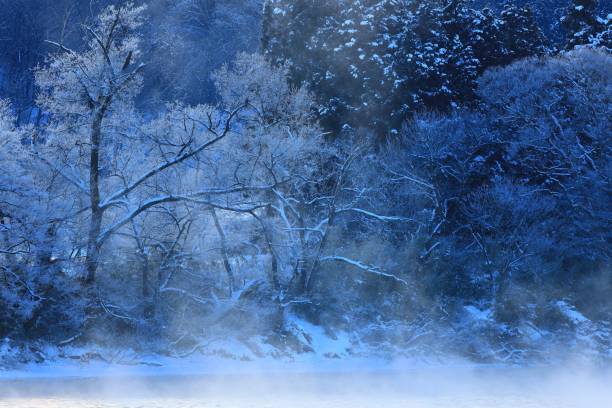 istock Winter of dawn 1297394339