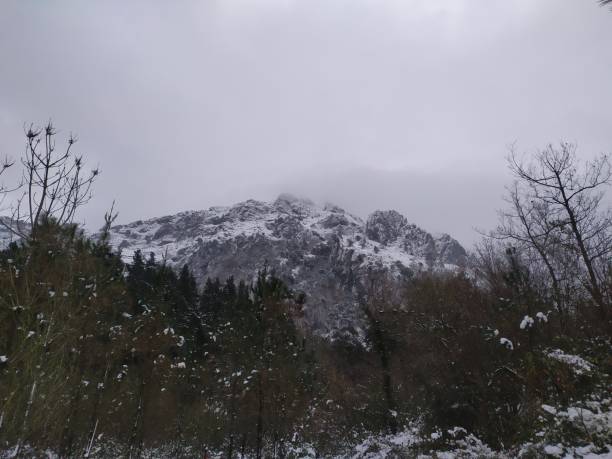 istock Snow un the mountain Urkiola, Basque Country, Spain 1297394397
