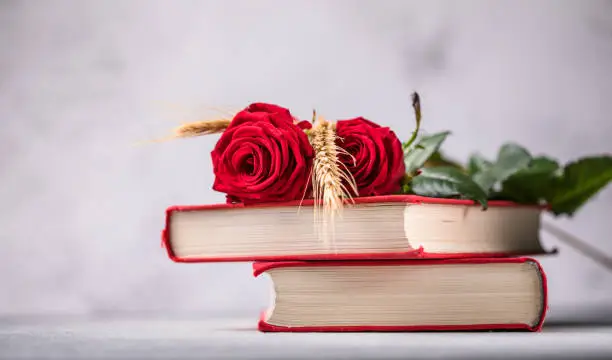 Photo of Rose and Book, traditional gift for Sant Jordi, the Saint Georges Day. It is Catalunya's version of Valentine's day
