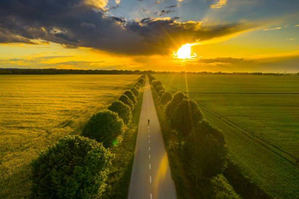 istock Long journey. Hiking woman walking on empty road 1297398769