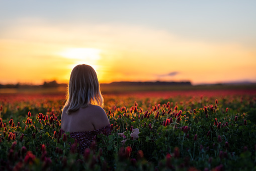 Carefree female tourist admiring sunset from crimson clover flower field