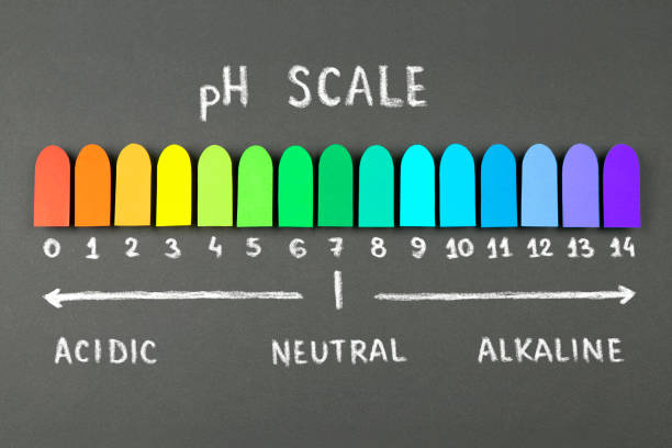 gráfico de escala ph - litmus test - fotografias e filmes do acervo