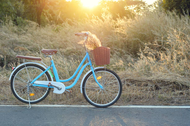 istock Vintage bicycle with summer grass field at sunset background 1297403816