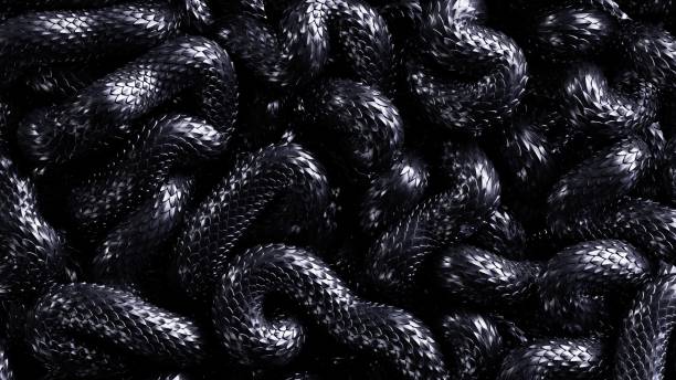 3d render, abstract background with black snake with metallic scales texture