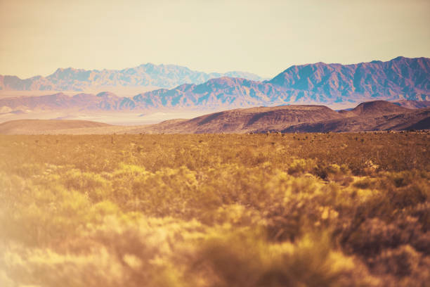 Early Fall California Mojave Desert Raw Landscape. United States of America.