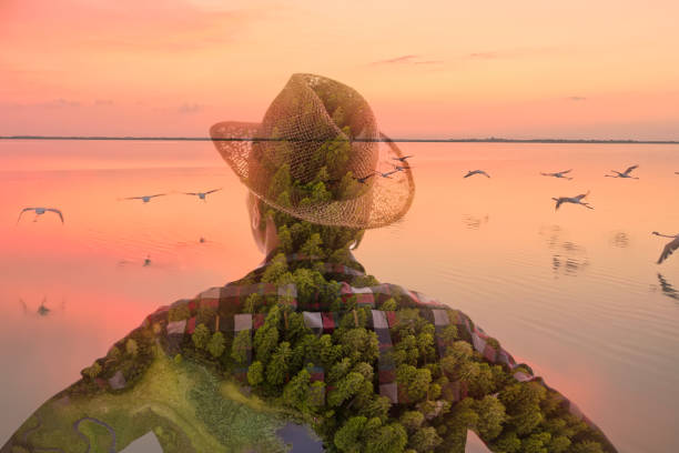człowiek patrząc na flamingi latające nad morzem o zmierzchu - moody sky outdoors digital composite sunset zdjęcia i obrazy z banku zdjęć