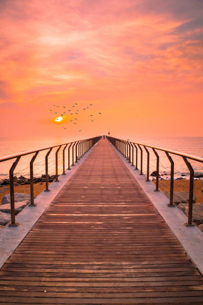 istock Pont del Petroli at sunrise 1297410366