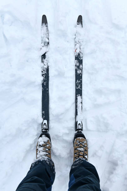 istock Cross country skis in snow 1297410382