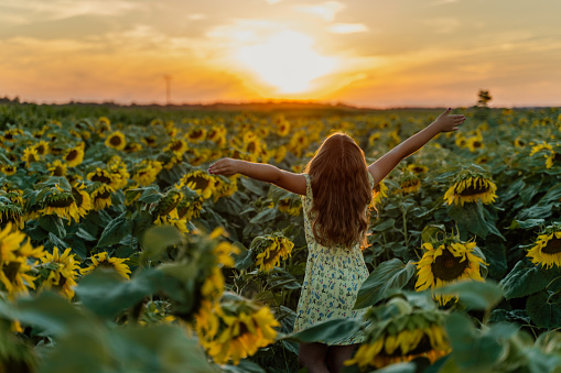 Rear view of girl standing with arms stretched on sunflower field