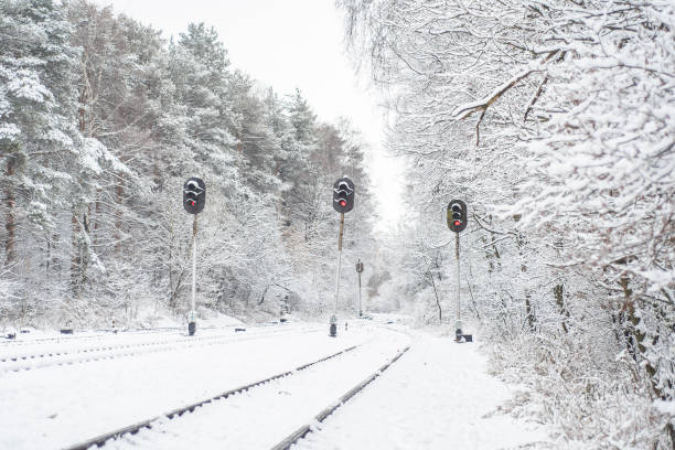 istock Empty railway tracks in the winter forest. Snow-covered rails and semaphores between trees. 1297413744