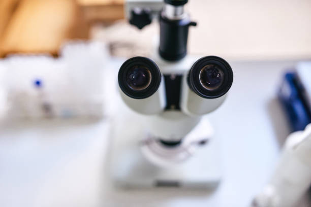 istock Your eyes won't believe what I can see 1297414795