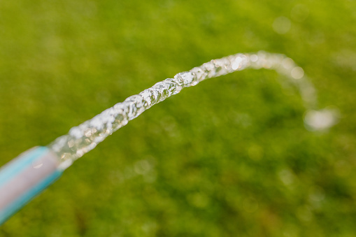 Water flowing from garden hose on green grass