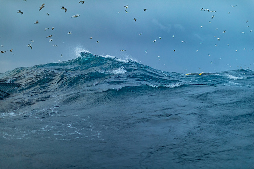 View on a rough sea, with waves of the open ocean from a boat