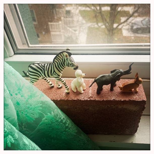 istock Collection of Small Animal Figures 1297416229