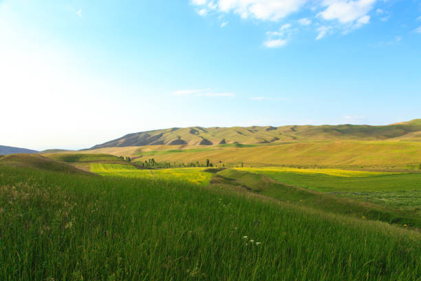 istock Beautiful spring and summer landscape. Lush green hills. Spring blooming herbs. 1297416743