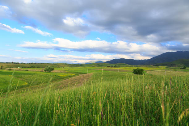 istock Beautiful spring and summer landscape. Lush green hills. Spring blooming herbs. 1297416746