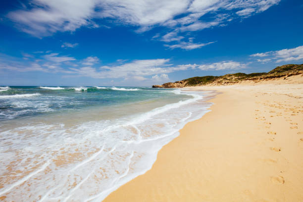 istock Koonya Beach in Sorrento Australia 1297417537