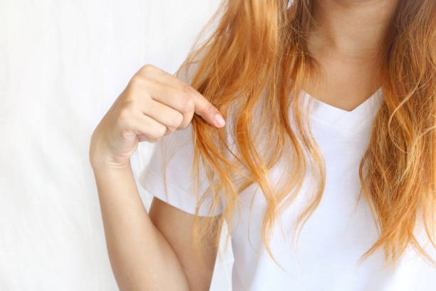 アセインの女性は、色の治療を行う彼女の長い髪を保持しています。毛髪は多分問題の破損(スプリットエンド)を持っている。髪の毛の端を気にするか、カットする必要があります。白い背� - off cuts ストックフォトと画像