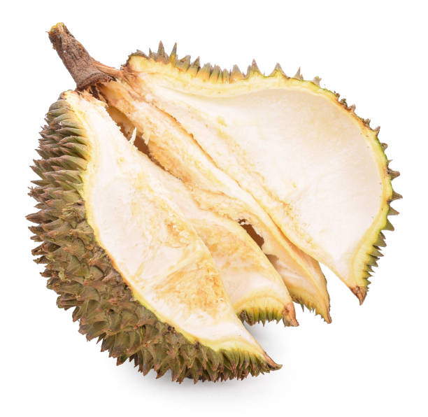 istock Durian peeled isolated on white background 1297420335