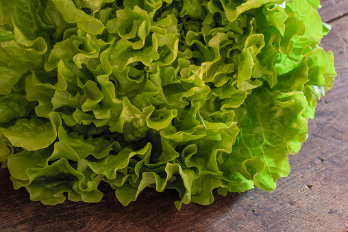 Gentilina Lettuce salad on a rustic old wood tabletop