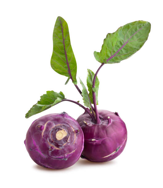 purple kohlrabi purple kohlrabi path isolated on white brassica rapa stock pictures, royalty-free photos & images