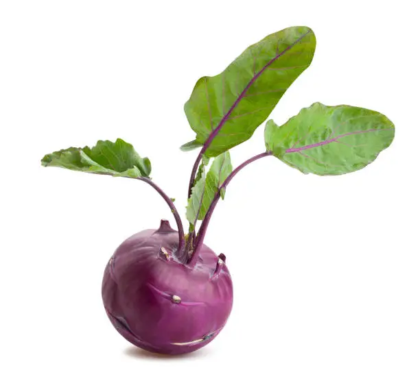 Photo of purple kohlrabi