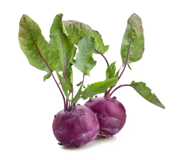 purple kohlrabi path isolated on white