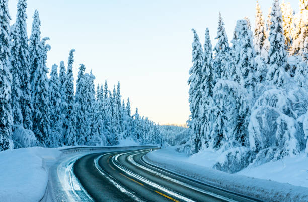 eisige und rutschige autobahn durch einen wald mit pinien, die von starkem weißen schnee bedeckt sind. - winterroad stock-fotos und bilder