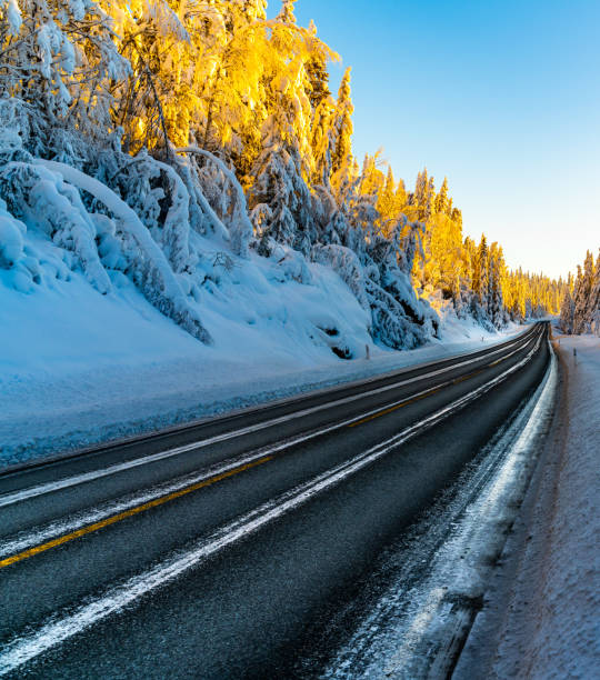 ледяная трасса через заснеженный арктический лес в яркий зимний день. - winterroad стоковые фото и изображения