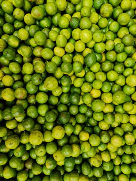 ingredient to prepare healthy food with vitamins