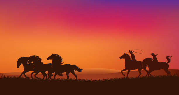 ilustraciones, imágenes clip art, dibujos animados e iconos de stock de vaquera y vaquero con lazo persiguiendo mustang caballos rebaño en la puesta de sol pradera vector paisaje - western usa