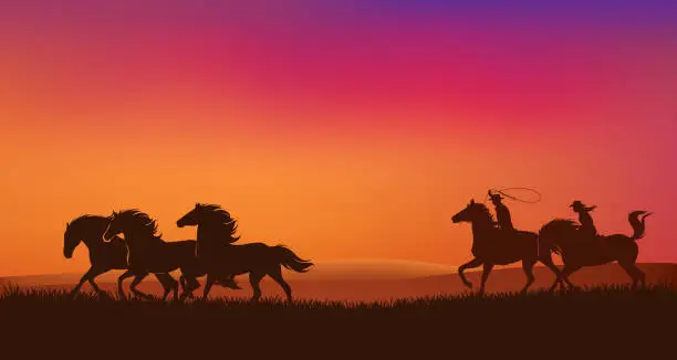 Vector illustration of cowgirl and cowboy with lasso chasing mustang horses herd in sunset prairie vector landscape