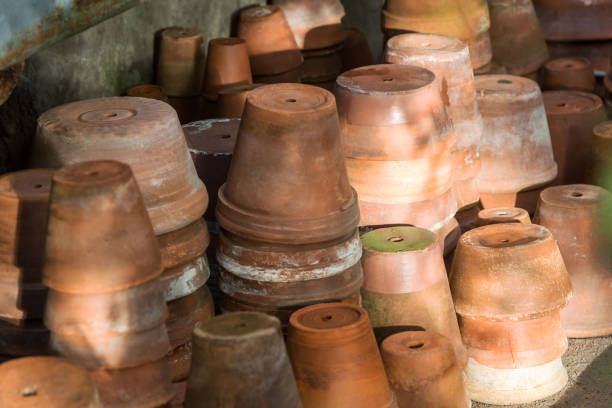 istock Used old empty terracotta/clay flower pots 1297429269