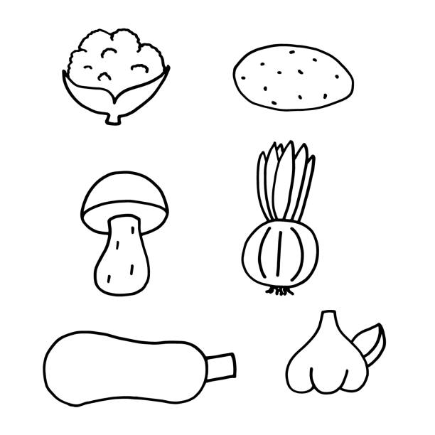 ilustrações de stock, clip art, desenhos animados e ícones de set of vector hand drawn vegetables isolated on white. doodle style illustration. cauliflower, potato, mushroom, onion, squash and garlic. simple vector outline icons for vegan shops - cauliflower vegetable black illustration and painting