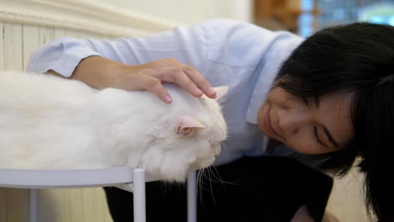 Young woman hugging cat.