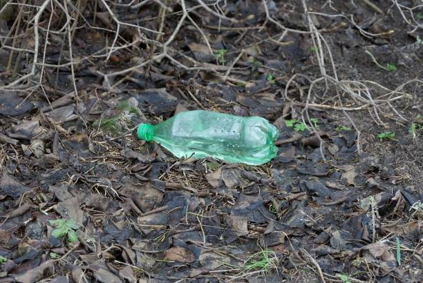 istock one green plastic bottle lies on gray brown leaves 1297431747