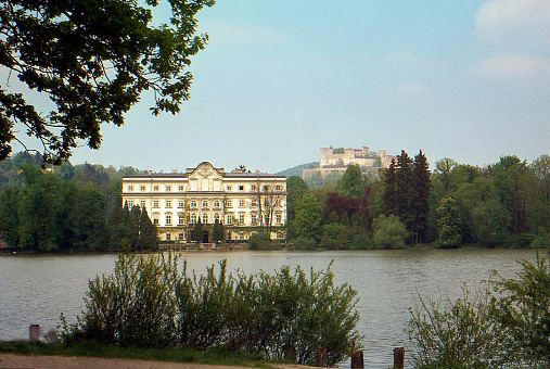 The Queen's Meadow at Green Park in City of Westminster, London. The sign includes images to illustrate the flora. The RAF Bomber Squadron memorial can be seen in the background.