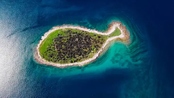 Top aerial view of small desert fish shaped island Gaz in Brijuni islands, Croatia.