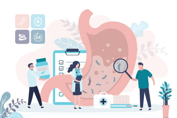 группа врачей обследовать желудок на заболевания. диагностика и лечение гастрита. проверка пищеварительной системы - healthcare and medicine science medical exam abdomen stock illustrations