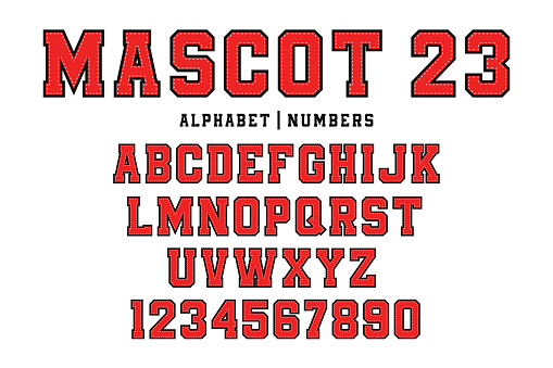 Classic college font. Vintage sport font in american style for football, baseball or basketball logos and t-shirt. College and varsity style font, tackle twill. Vector