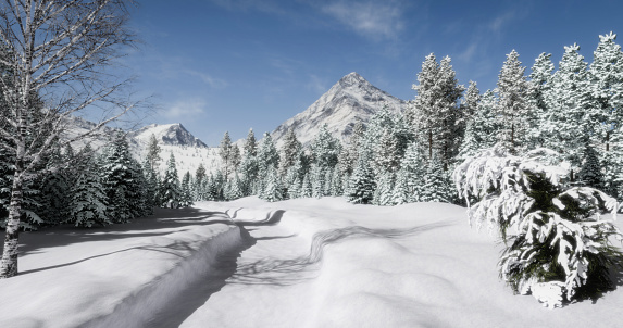 Digitally generated sunny winter day, with fresh snow covered trees.\n\nThe scene was rendered with photorealistic shaders and lighting in Autodesk® 3ds Max 2020 with V-Ray 5 with some post-production added.
