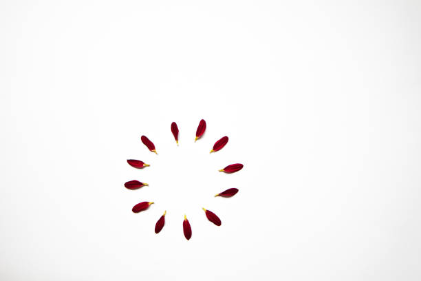 istock Spring or summer background with copy space for text: flower and petals, red flower with yellow heart. Top view. Flat lay. 1297453984