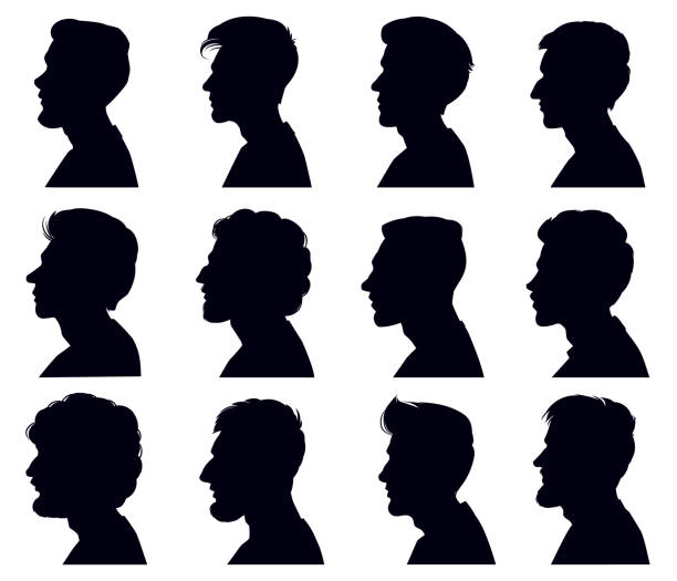 Male Profile Face Silhouette Adult Men Anonymous Characters Shadow  Portraits Men Heads Black Outline Silhouettes Vector Illustration Set Stock  Illustration - Download Image Now - iStock