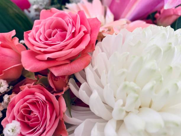 istock Roses and chrysanthemums bouquet background 1297455213