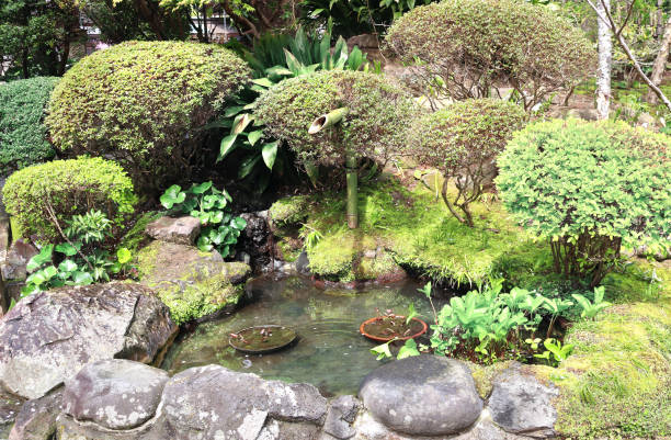 istock Decorative pond, Hasedera temple, Kamakura, Japan 1297455332