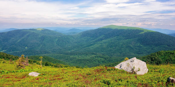 istock carpathian summer mountain landscape 1297457356