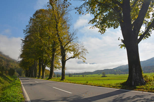 istock The Road to Kobarid, Slovenia 1297460465